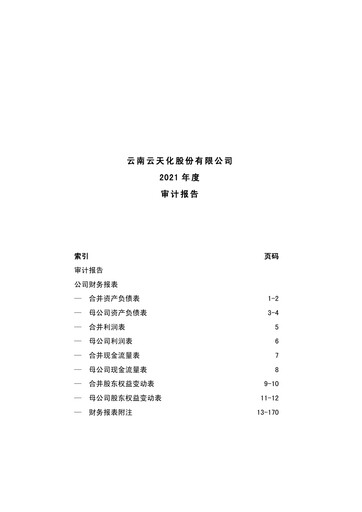 Thumbnail Yuntianhua Financial Statement 2021