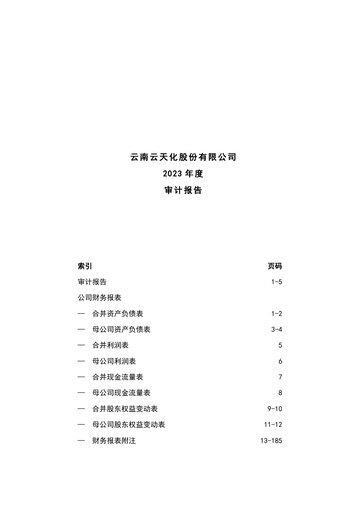 Thumbnail Yuntianhua Financial Statement 2023