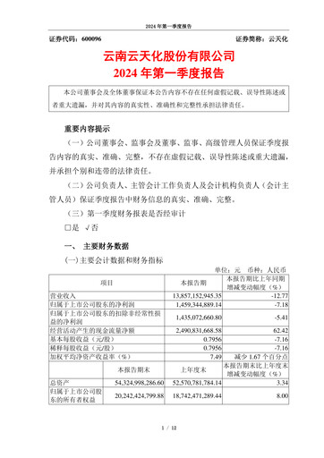 Thumbnail Yuntianhua Quarterly Report 2024-q1
