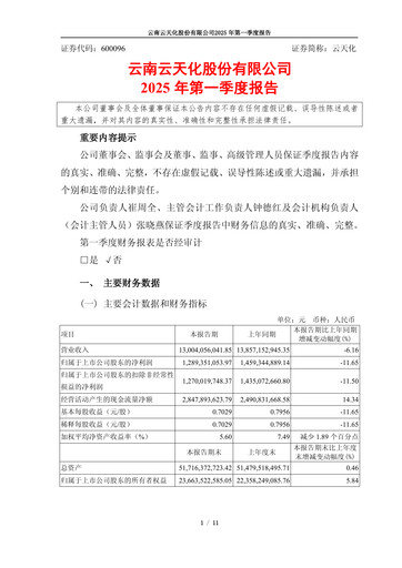 Thumbnail Yuntianhua Quarterly Report 2025-q1