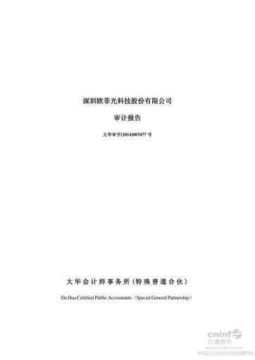 Thumbnail OFILM Group Financial Statement 2013