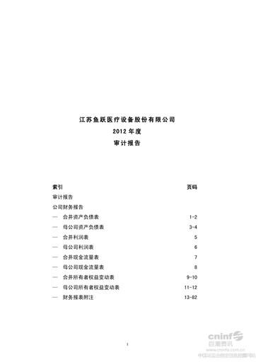 Thumbnail Jiangsu Yuyue Medical Equipment & Supply Co., Ltd. Financial Statement 2012