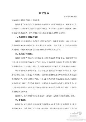Thumbnail Wuhan Guide Infrared Financial Statement 2013