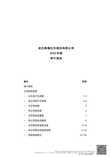 Thumbnail Wuhan Guide Infrared Financial Statement 2025