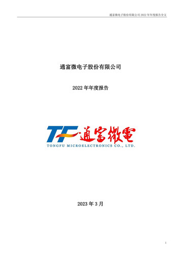 Miniature Tongfu Microelectronics Co.,Ltd Rapport annuel 2022