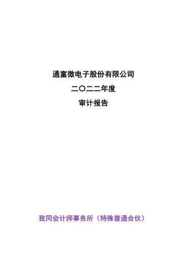 Miniature Tongfu Microelectronics Co.,Ltd Bilan financier 2022