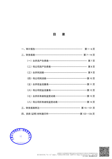 Thumbnail Hangzhou Greatstar Industrial Financial Statement 2024