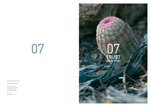 Thumbnail Grupo México
 Annual Report 2007