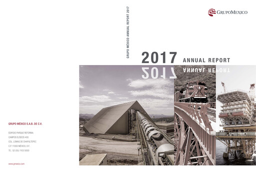 Thumbnail Grupo México
 Annual Report 2017