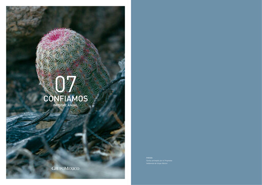 Thumbnail Grupo México
 Annual Report 2007