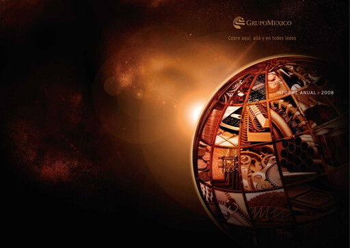 Thumbnail Grupo México
 Annual Report 2008