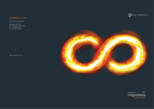 Thumbnail Grupo México
 Annual Report 2009