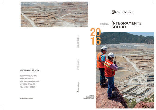 Thumbnail Grupo México
 Annual Report 2016