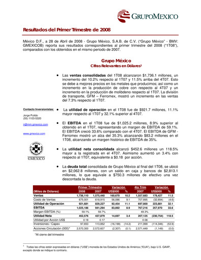 Thumbnail Grupo México
 Quarterly Report 2008-q1