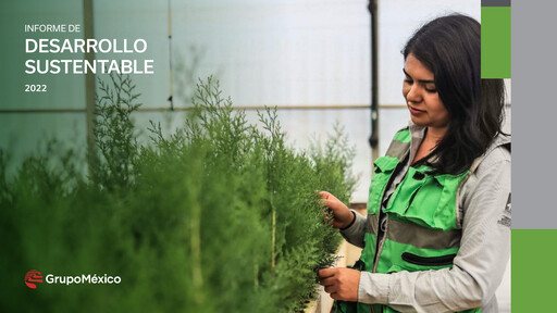 Thumbnail Grupo México
 Sustainability Report 2022