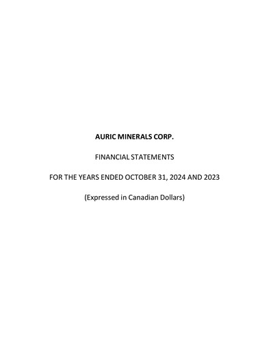 Thumbnail Auric Minerals Financial Statement 2024