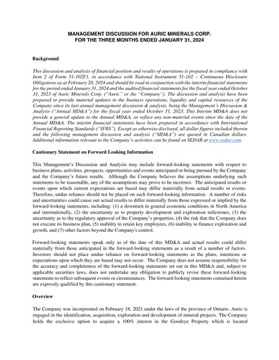 Thumbnail Auric Minerals Quarterly Report 2024-q1