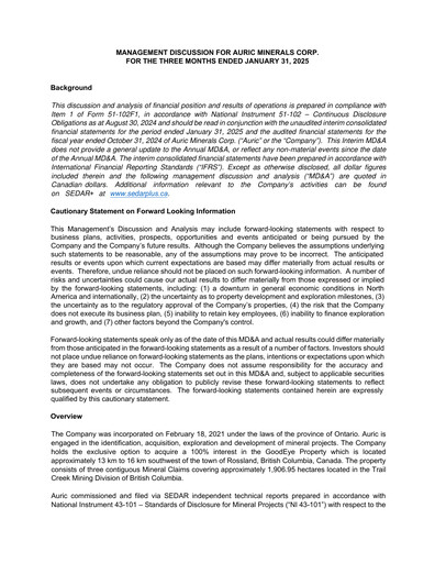 Thumbnail Auric Minerals Quarterly Report 2025-q1