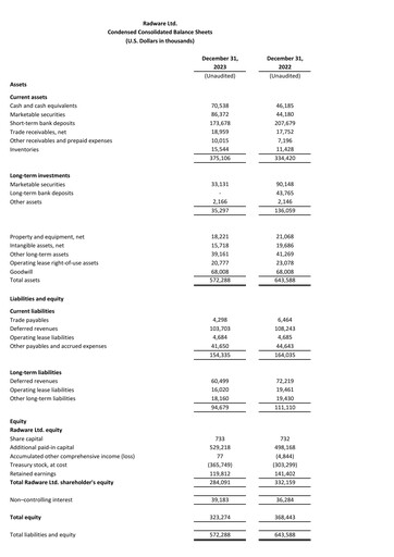 Thumbnail Radware Financial Statement 2023