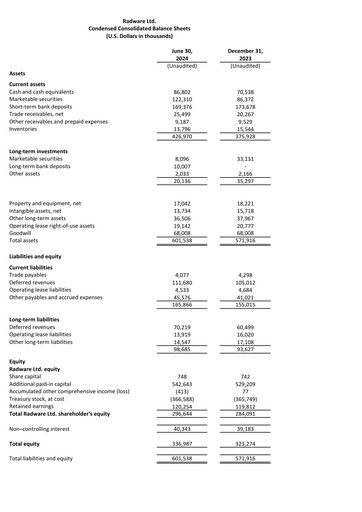 Thumbnail Radware Financial Statement 2024-q2