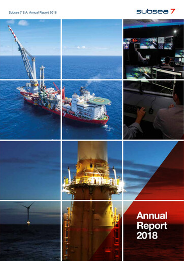 Miniature Subsea 7
 Rapport annuel 2018