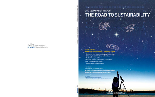 Thumbnail Hyundai Sustainability Report 2013