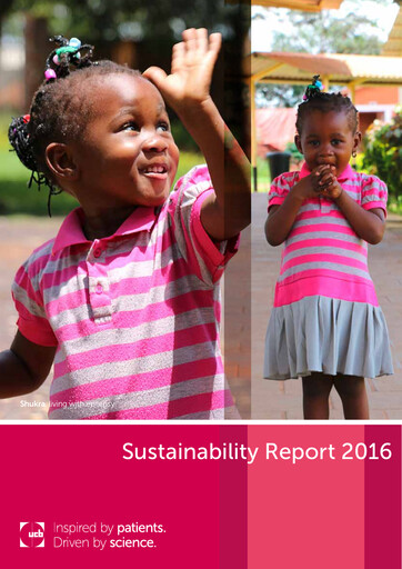 Miniature UCB Rapport de durabilité 2016