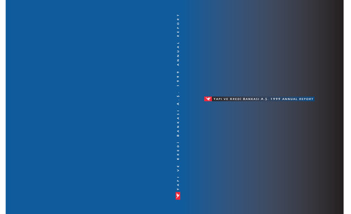Miniature Yapı Kredi
 Rapport annuel 1999