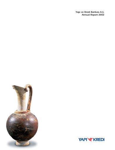 Miniature Yapı Kredi
 Rapport annuel 2002