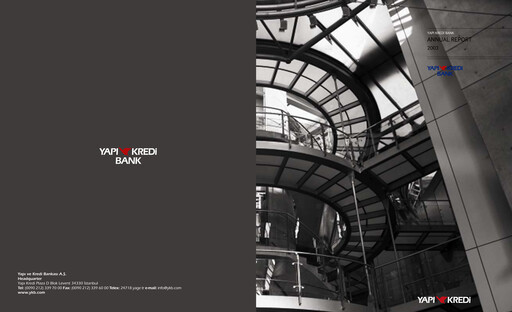 Miniature Yapı Kredi
 Rapport annuel 2003