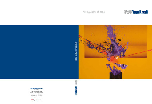 Miniature Yapı Kredi
 Rapport annuel 2008
