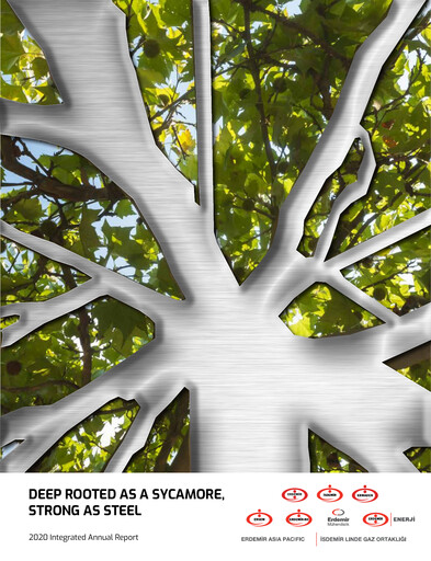 Miniature İsdemir Rapport annuel 2020