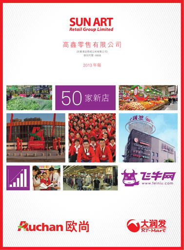 Miniature Sun Art Retail Group Limited Rapport annuel 2013