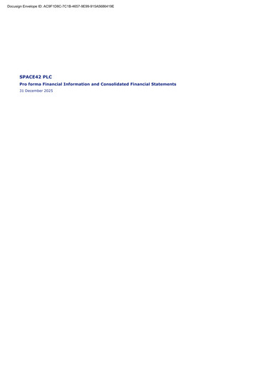 Thumbnail SPACE42 Financial Statement 2025