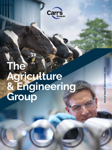 Thumbnail Fevara Annual Report 2020