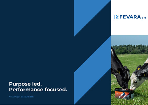 Thumbnail Fevara Annual Report 2025