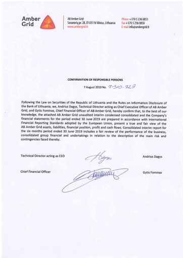 Miniature AB Amber Grid Rapport semestriel 2019-h1