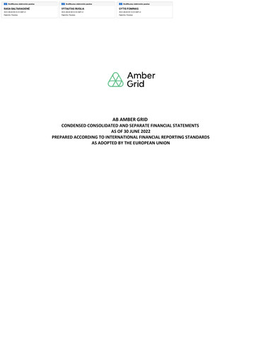 Miniature AB Amber Grid Rapport semestriel 2022-h1