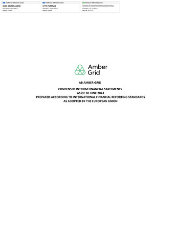 Miniature AB Amber Grid Rapport semestriel 2024-h1