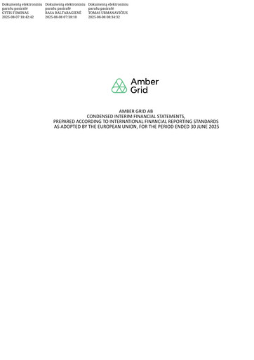 Miniature AB Amber Grid Rapport semestriel 2025-h1