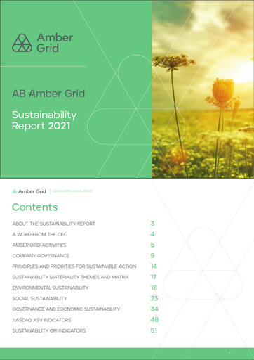 Thumbnail AB Amber Grid Sustainability Report 2021