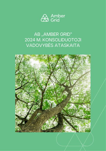 Thumbnail AB Amber Grid Sustainability Report 2024