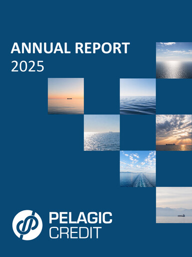 Miniature Pelagic Credit Plc Rapport annuel 2025