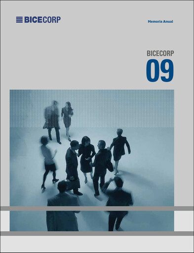 Miniature Bicecorp Rapport annuel 2009