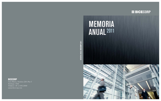 Miniature Bicecorp Rapport annuel 2011