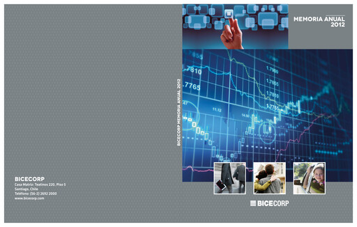 Miniature Bicecorp Rapport annuel 2012
