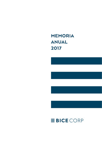 Miniature Bicecorp Rapport annuel 2017