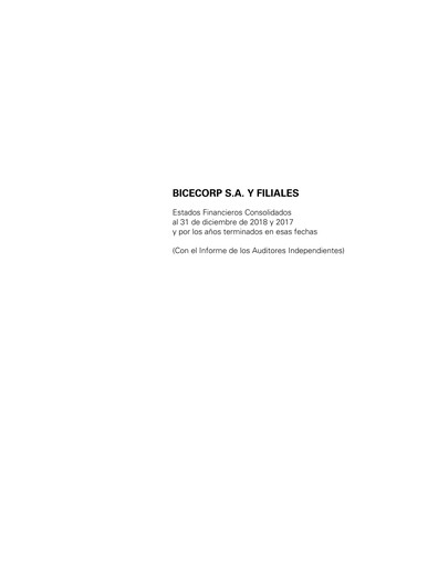 Miniature Bicecorp Bilan financier 2018