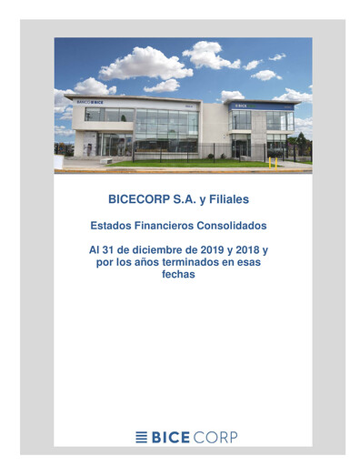 Miniature Bicecorp Bilan financier 2019