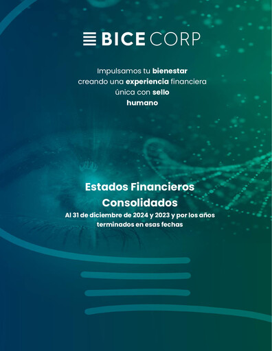 Miniature Bicecorp Bilan financier 2024